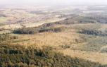Luftaufnahme aus 1995 nach Wiederaufforstung 